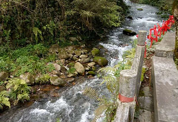 株洲酒埠江仙人桥旅游区第 11 张图片