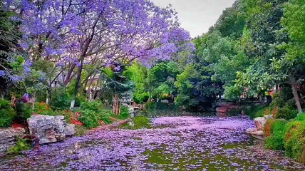 泸江公园第 4 张图片