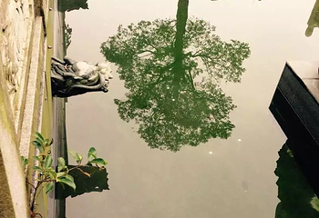大华兴寺第 25 张图片