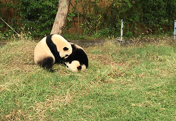 宁波野生动物园第 67 张图片