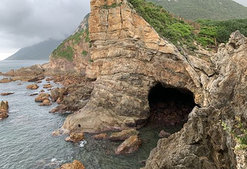 杨梅坑第 61 张图片