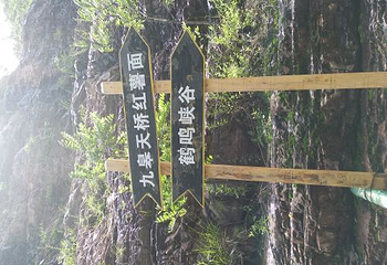 伊川鹤鸣峡景区第 8 张图片
