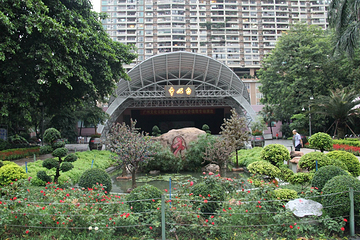广州文化公园第 19 张图片
