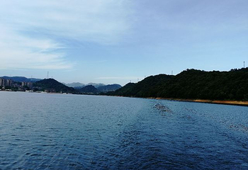 千岛湖城中湖休闲游第 18 张图片
