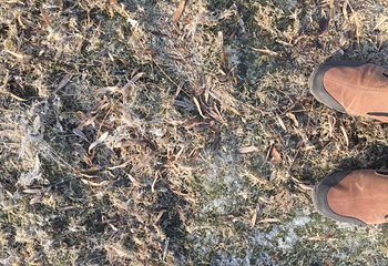 天津光合谷冰雪乐园第 6 张图片