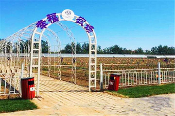 蓝调庄园幸福农场第 9 张图片