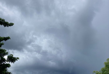 西双版纳热带雨林国家公园望天树景区第 155 张图片