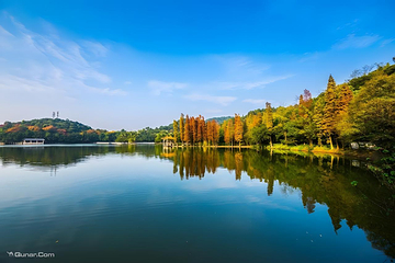 西樵山风景名胜区第 2 张图片