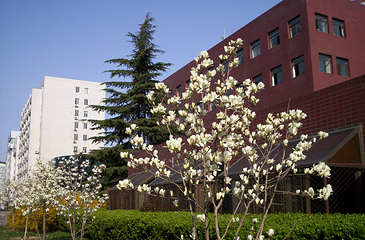 北京航空航天大学第 19 张图片