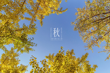 唐城墙遗址公园第 14 张图片