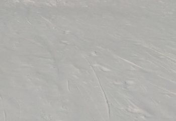 万仙山滑雪场第 15 张图片
