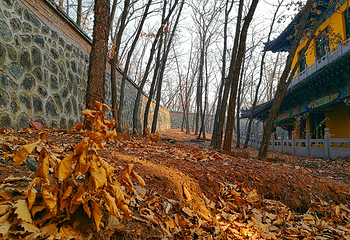 药泉山钟灵禅寺第 12 张图片