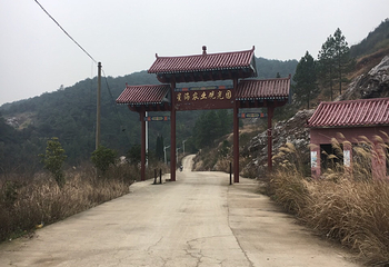 流光湖第 11 张图片
