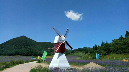 岗山花海第 22 张图片