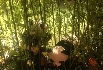 魔焱亲子互动趴全球巡展第 38 张图片