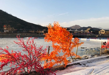 老君顶景区第 25 张图片