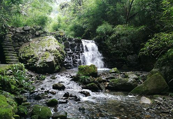 安康双龙溶洞景区第 14 张图片