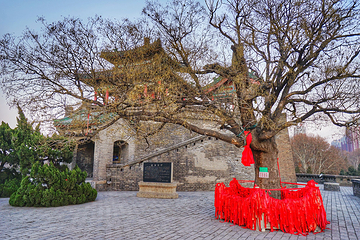 丛台公园第 13 张图片