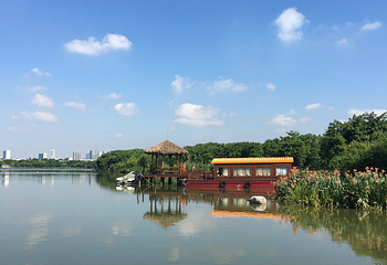 海珠国家湿地公园第 17 张图片