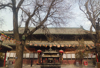崇善寺第 27 张图片