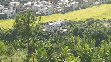 坪山梯田旅游区第 16 张图片