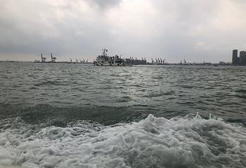 观海长廊第 35 张图片