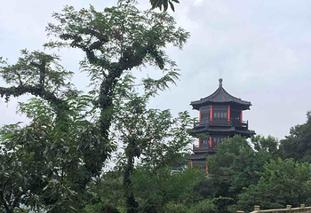 吉安花果山第 7 张图片