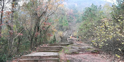 赤城山第 37 张图片
