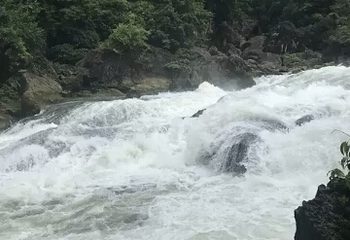 西江第 13 张图片