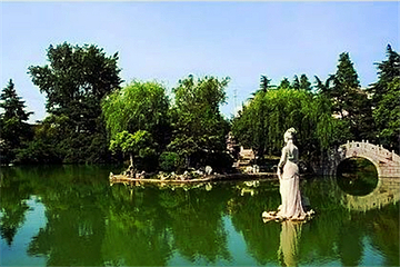 凤凰公园第 24 张图片