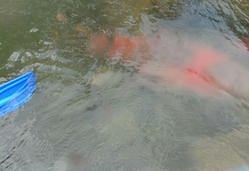 青云峡森林探险漂流第 22 张图片