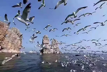 砣矶岛第 15 张图片