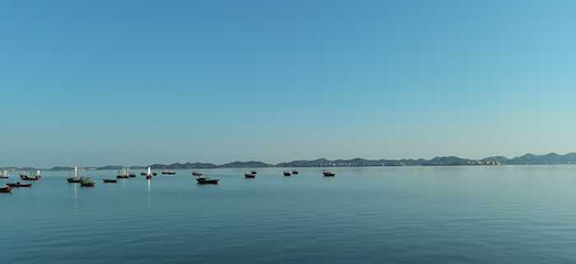 鄱阳湖国家湿地公园第 57 张图片
