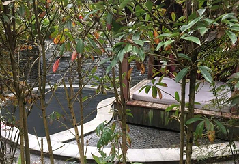 花水湾温泉度假区第 106 张图片