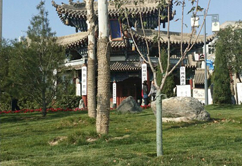 雁滩公园第 16 张图片