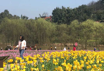 清溪谷旅游区-花田酒地景区第 49 张图片