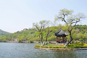 北山公园第 36 张图片