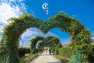 梦幻迷宫第 56 张图片