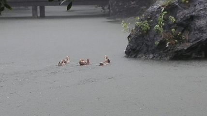 崆峒岩风景区第 26 张图片