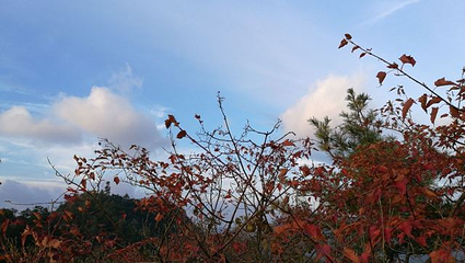 天燕景区第 31 张图片