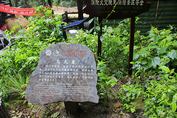 乌龙寨第 8 张图片