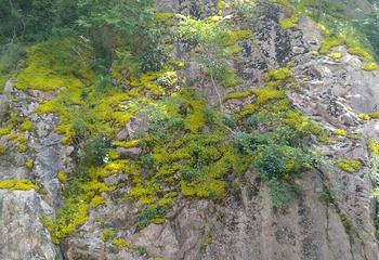 大龙山乌龙溪景区第 32 张图片