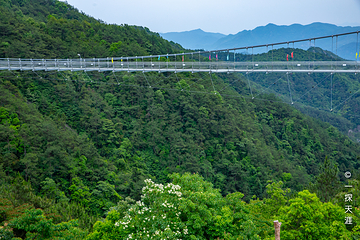 洛江虹山樱梅园第 12 张图片