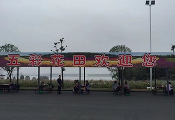洋沙湖第 61 张图片