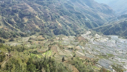老虎嘴梯田第 31 张图片