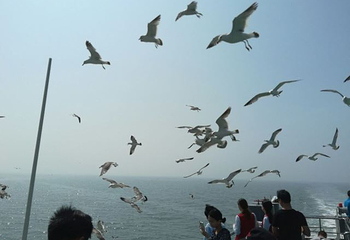 长岛海上游第 48 张图片