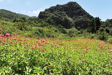 花坝旅游度假区第 18 张图片