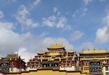 纳帕海(依拉草原)第 55 张图片