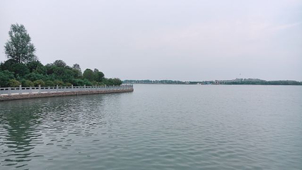 鄢陵鹤鸣湖国家湿地公园第 17 张图片