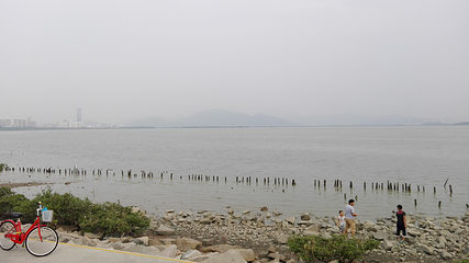 红树林海滨生态公园第 34 张图片